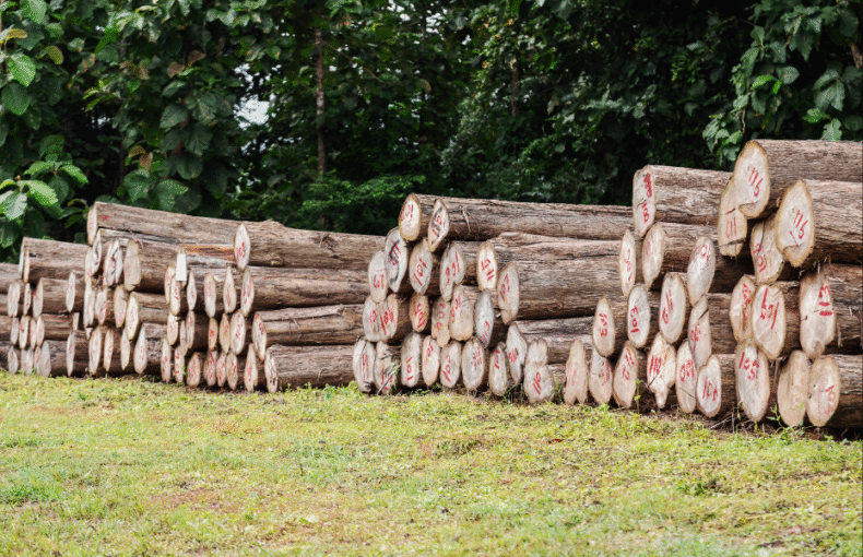 Mengenal Material Furnitur Panduan Lengkap untuk Memilih Mebel Berkualitas (2)